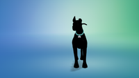 null