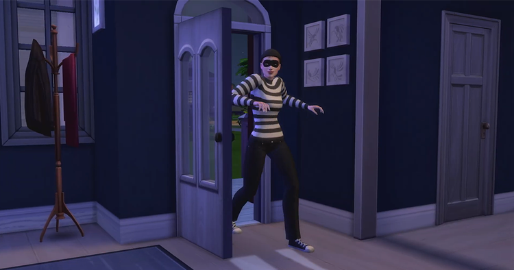 Burglar sneaks into a house